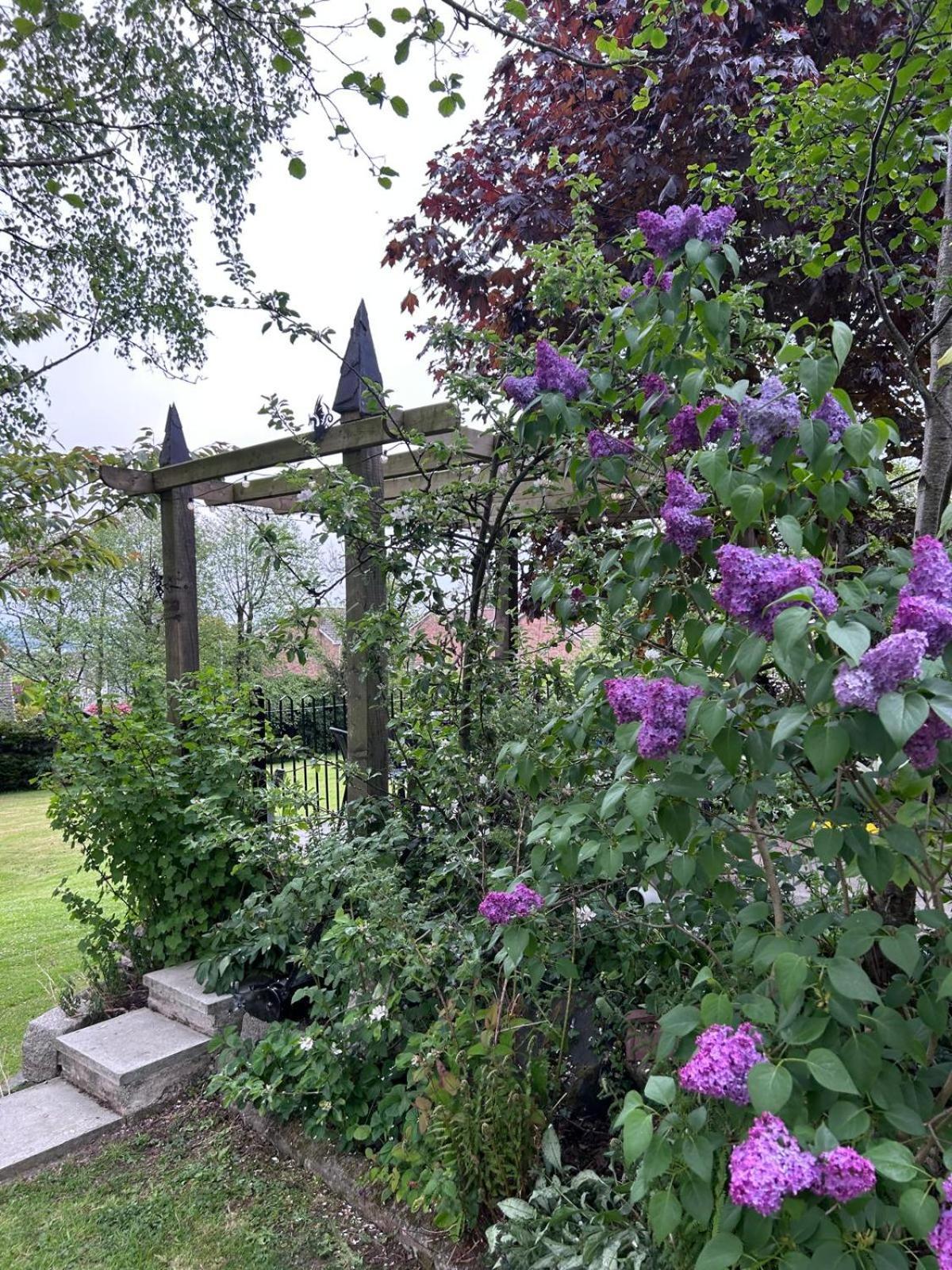 The Loft At Rowantree Cottage Dromara Exterior foto